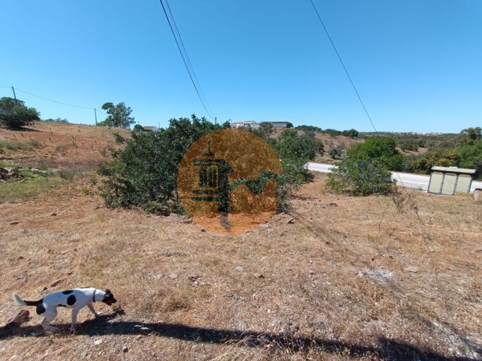 Image No.13-2 Bed House for sale