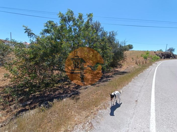 Image No.20-2 Bed House for sale