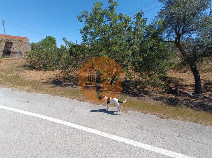 Image No.22-2 Bed House for sale