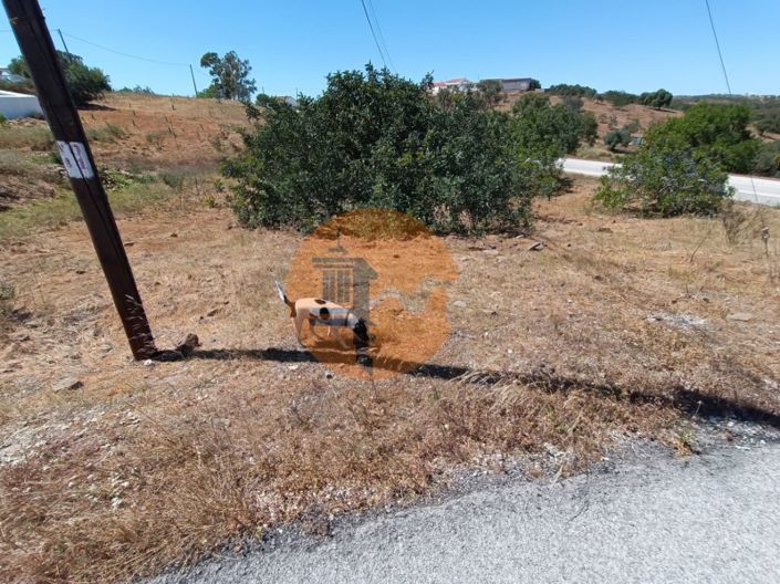 Image No.9-2 Bed House for sale