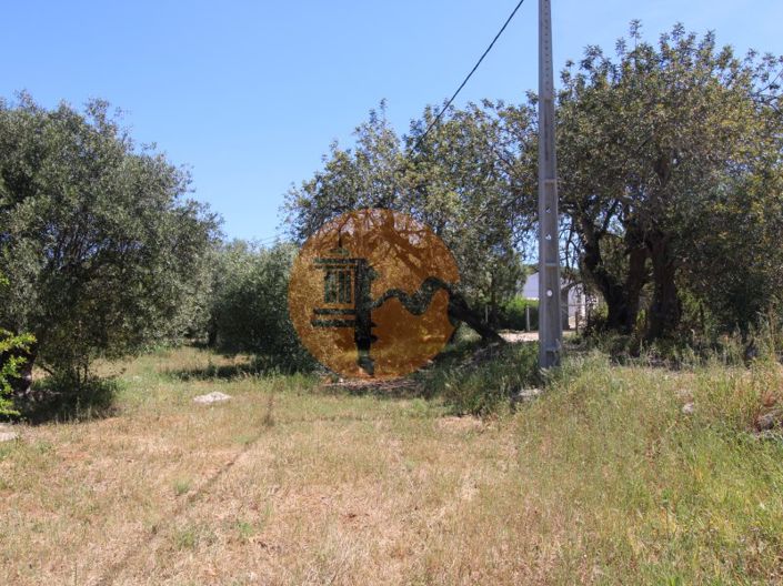 Image No.12-Plot for sale