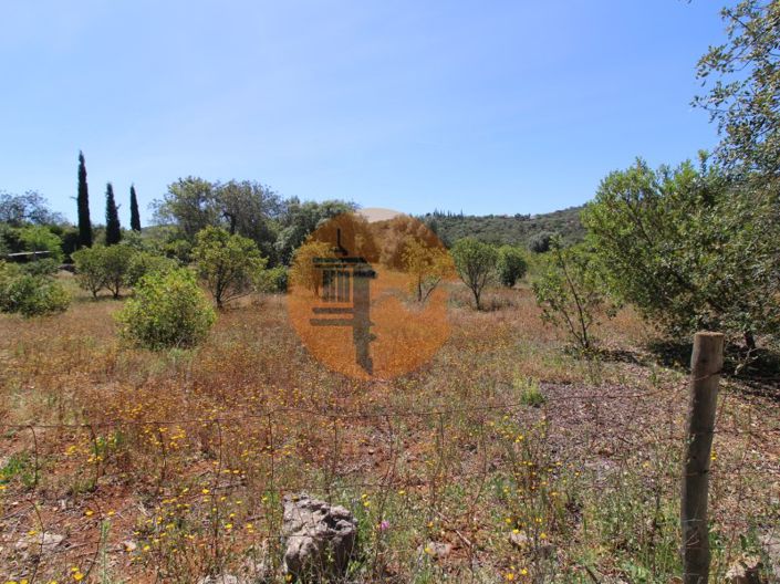 Image No.13-Plot for sale