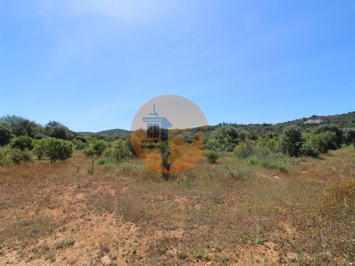 Image No.2-Plot for sale