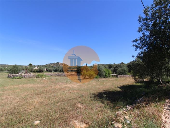 Image No.4-Plot for sale