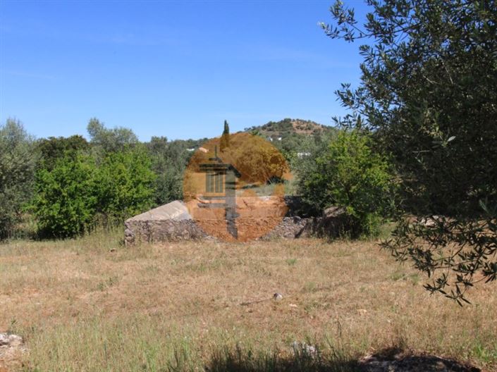 Image No.6-Plot for sale