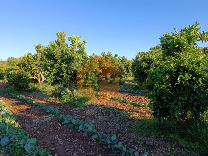 Image No.14-Plot for sale