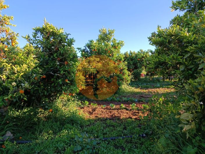 Image No.19-Plot for sale