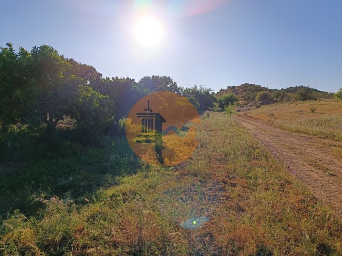 Image No.20-Plot for sale