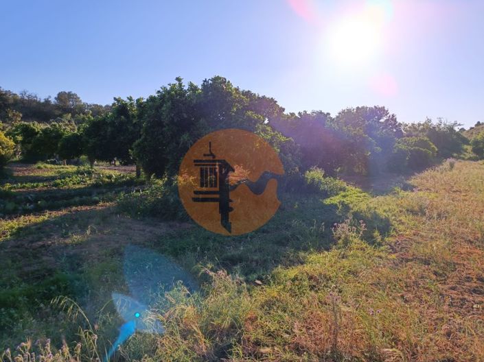 Image No.22-Plot for sale