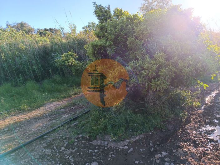 Image No.29-Plot for sale