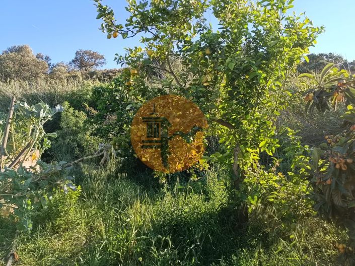 Image No.32-Plot for sale