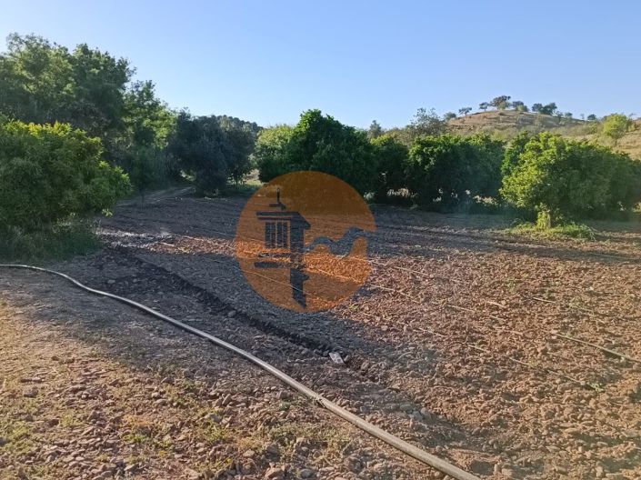 Image No.36-Plot for sale