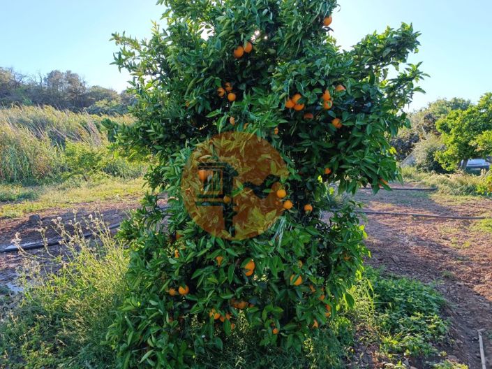 Image No.41-Plot for sale