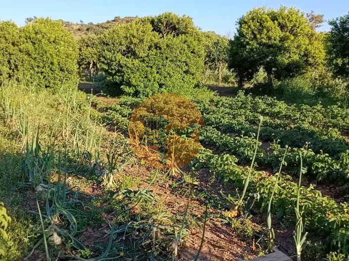 Image No.47-Plot for sale