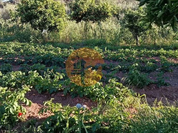 Image No.48-Plot for sale