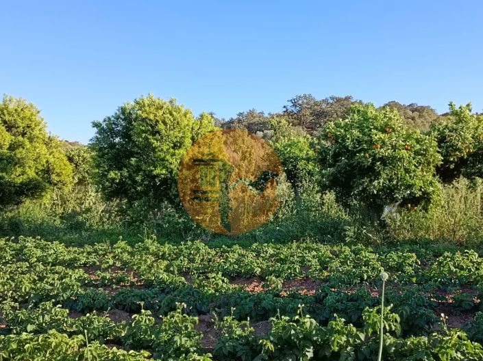 Image No.49-Plot for sale