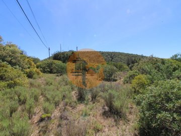 id21da6b01-0000-0500-0000-0000115a0df4