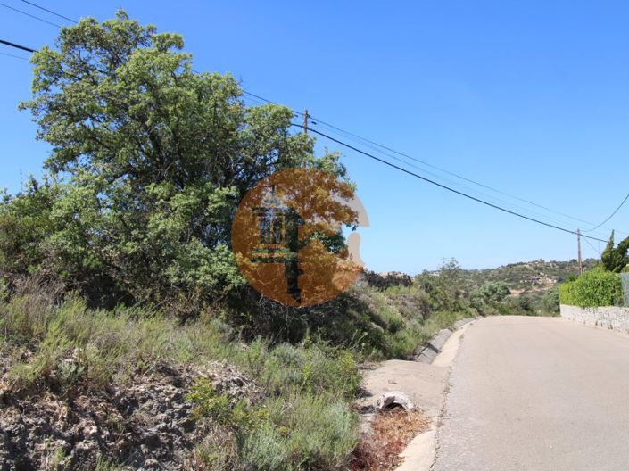 Image No.11-Plot for sale