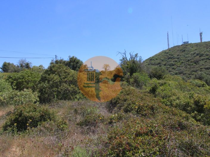 Image No.5-Plot for sale