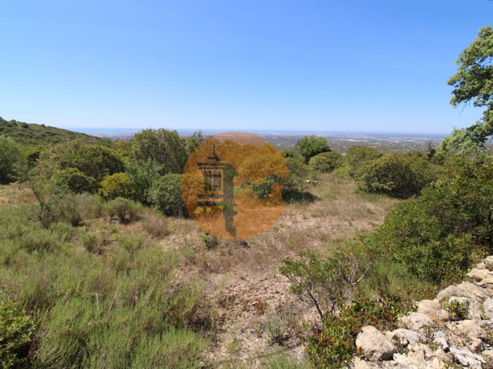 Image No.8-Plot for sale