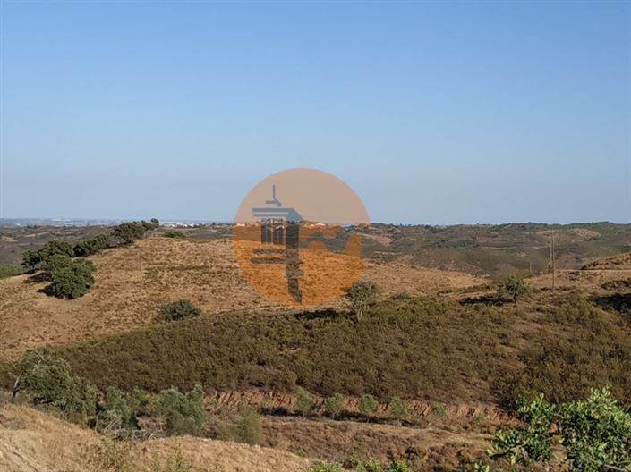 Image No.37-3 Bed House for sale