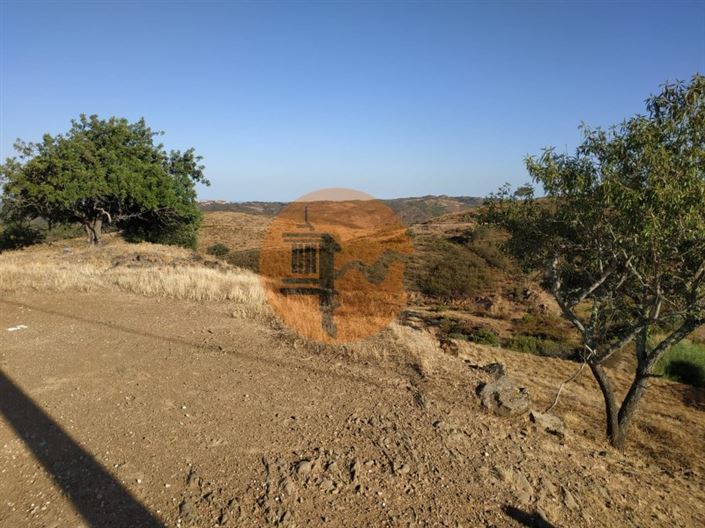 Image No.38-3 Bed House for sale