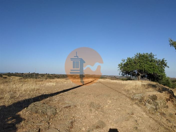 Image No.41-3 Bed House for sale