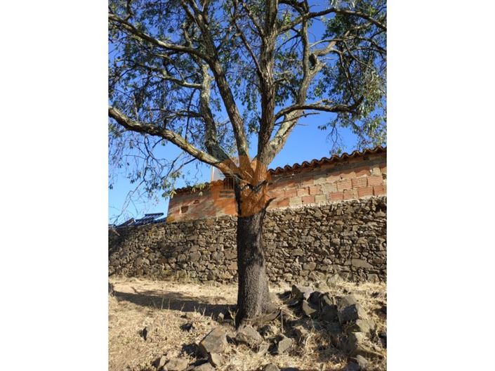 Image No.7-3 Bed House for sale