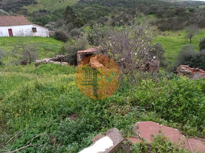 Image No.38-3 Bed House for sale