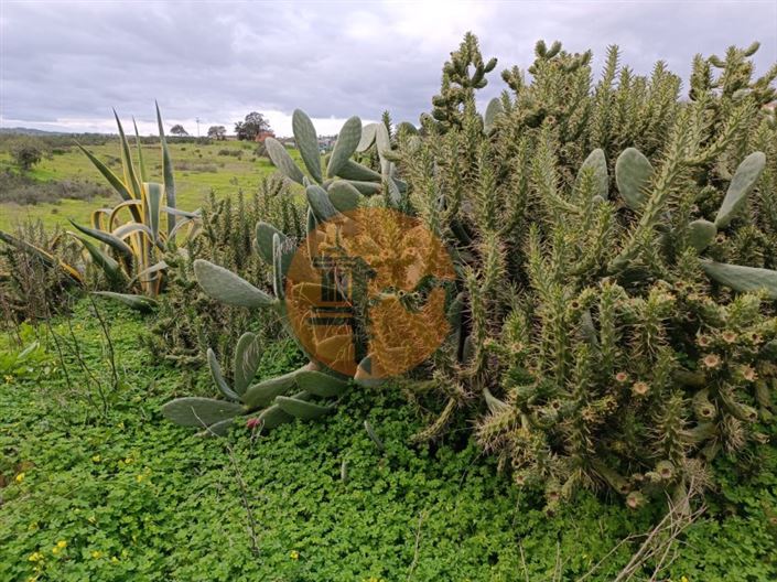 Image No.6-3 Bed House for sale