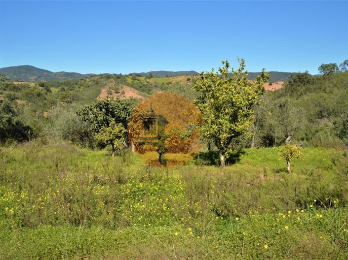 Image No.1-Plot for sale