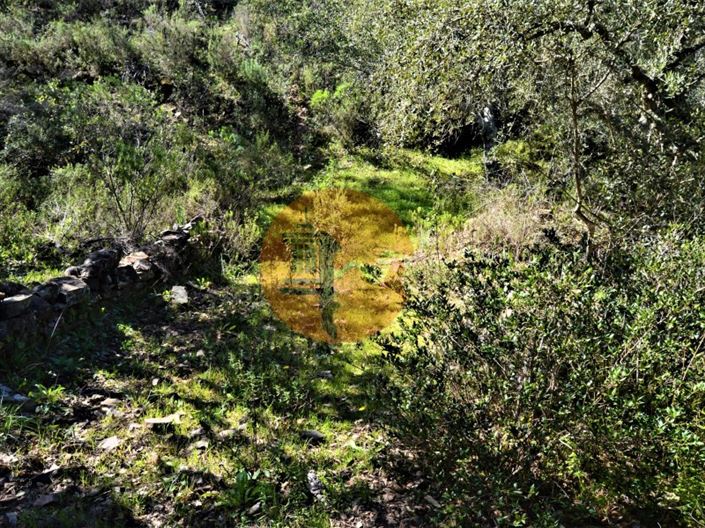 Image No.11-Plot for sale