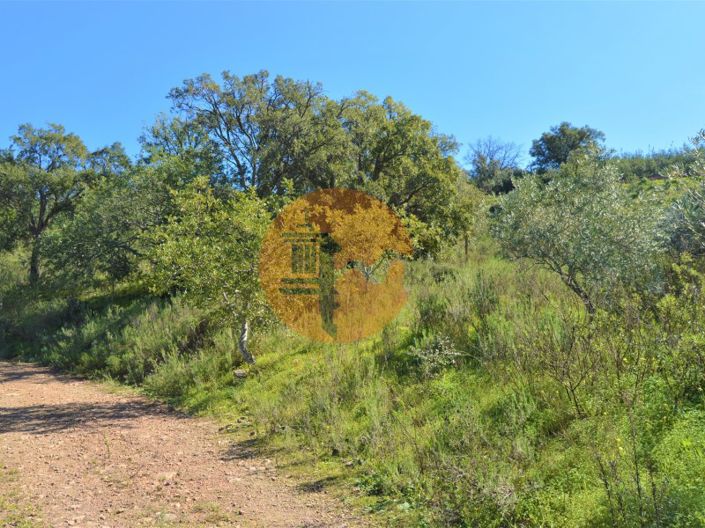 Image No.2-Plot for sale