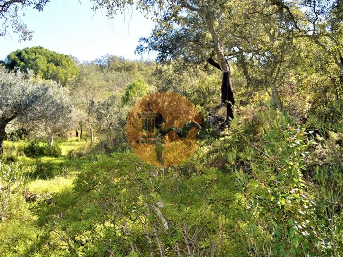 Image No.8-Plot for sale