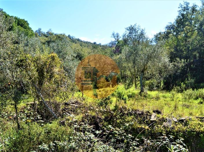 Image No.9-Plot for sale