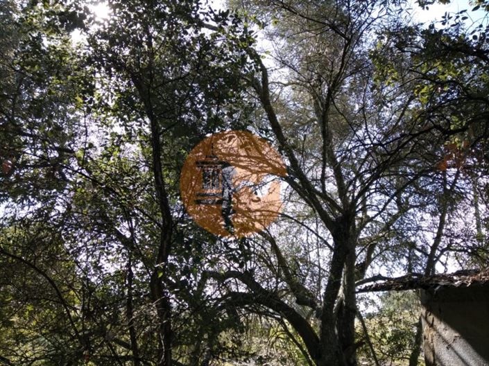 Image No.11-Plot for sale