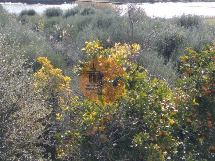 Image No.12-Plot for sale