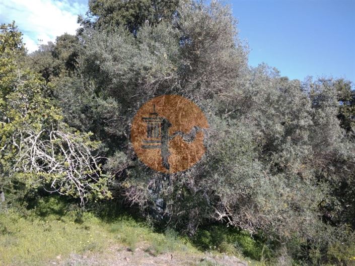 Image No.13-Plot for sale