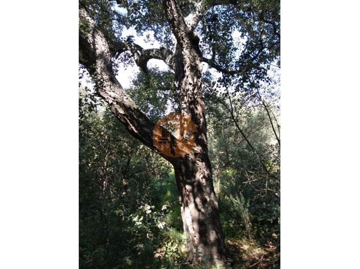 Image No.14-Plot for sale