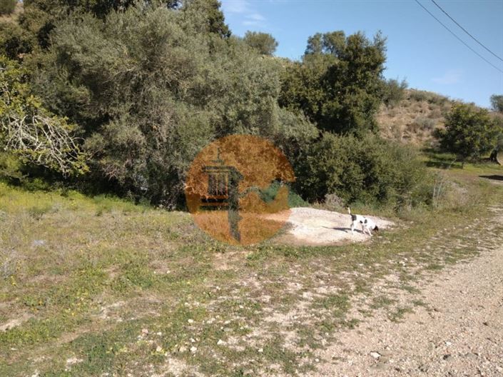 Image No.26-Plot for sale