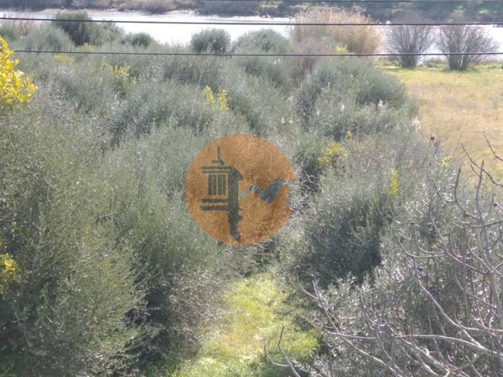 Image No.27-Plot for sale