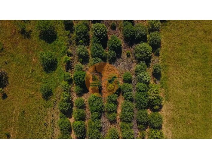 Image No.37-Plot for sale