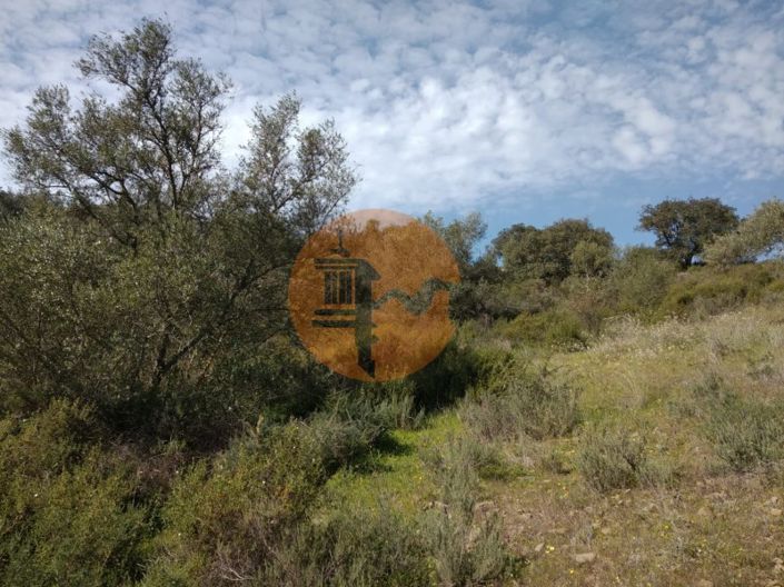 Image No.9-Plot for sale