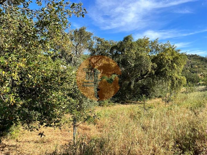 Image No.2-Plot for sale