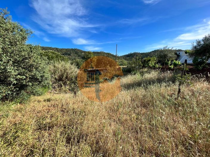 Image No.4-Plot for sale