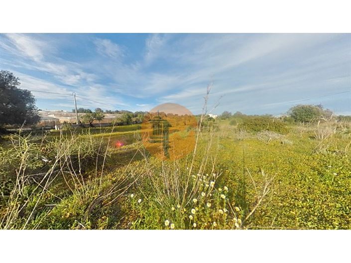 Image No.11-Plot for sale