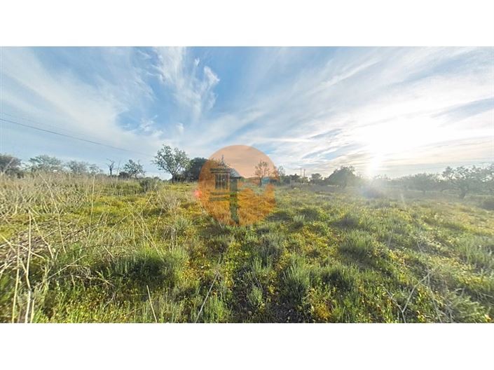 Image No.8-Plot for sale