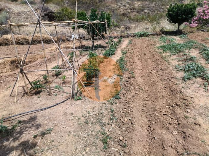 Image No.3-Plot for sale