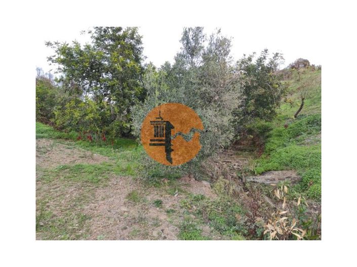 Image No.30-Plot for sale