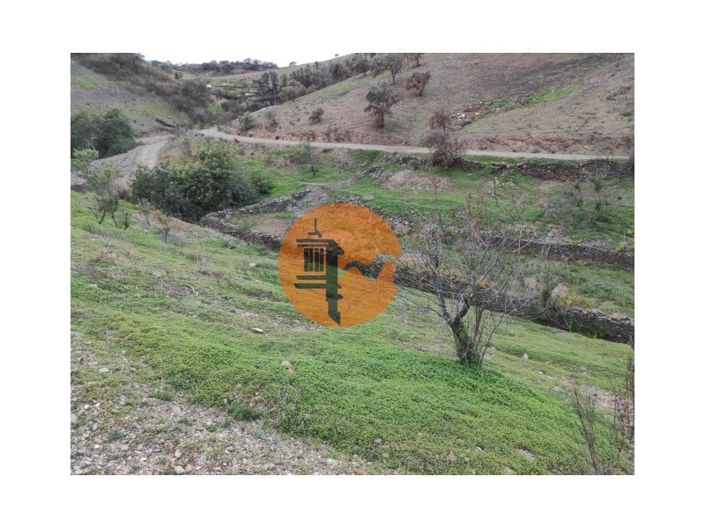 Image No.41-Plot for sale